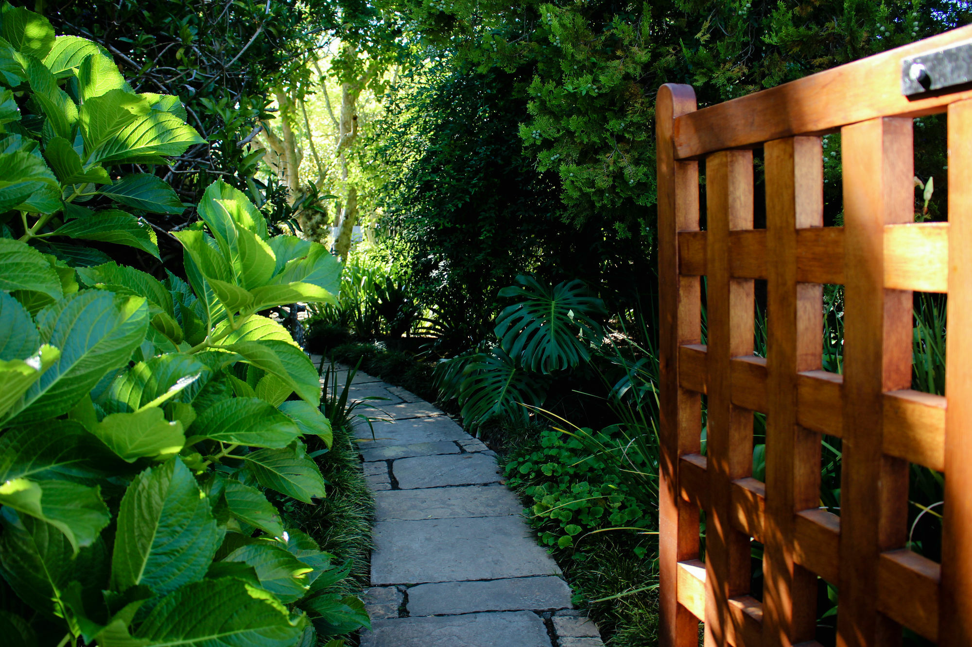 Whispering Oaks Guest House George Buitenkant foto